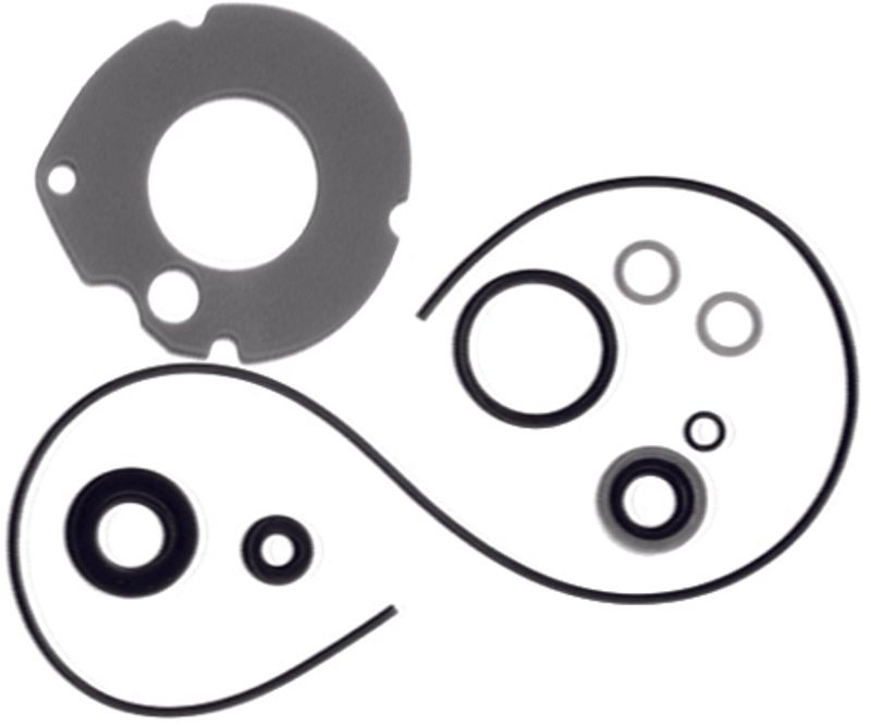 Lower Unit Seal Kit (Johnson/Evinrude)