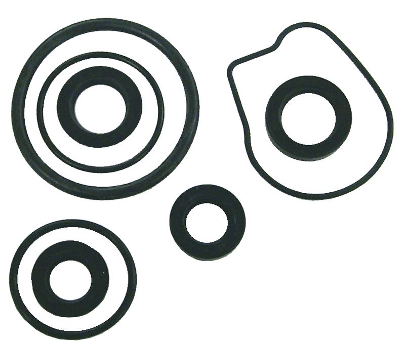 Lower Unit Seal Kit